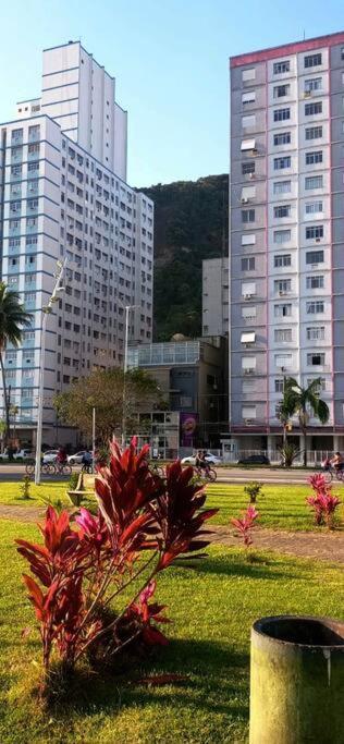 Apartamento Studio Itarare Apartment เซาวีเซนจิ ภายนอก รูปภาพ